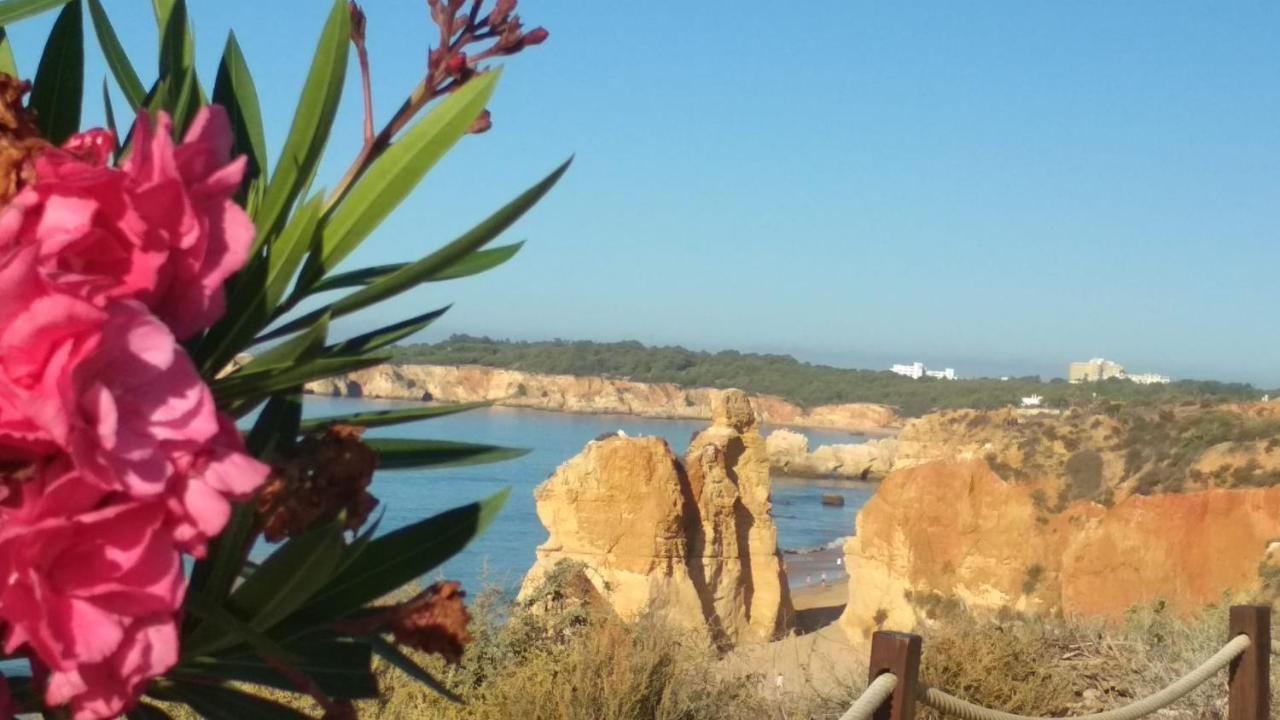 Albur Village B - Dandelion Alvor Exterior photo